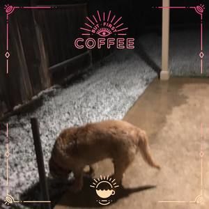 Meet your Posher, Louise